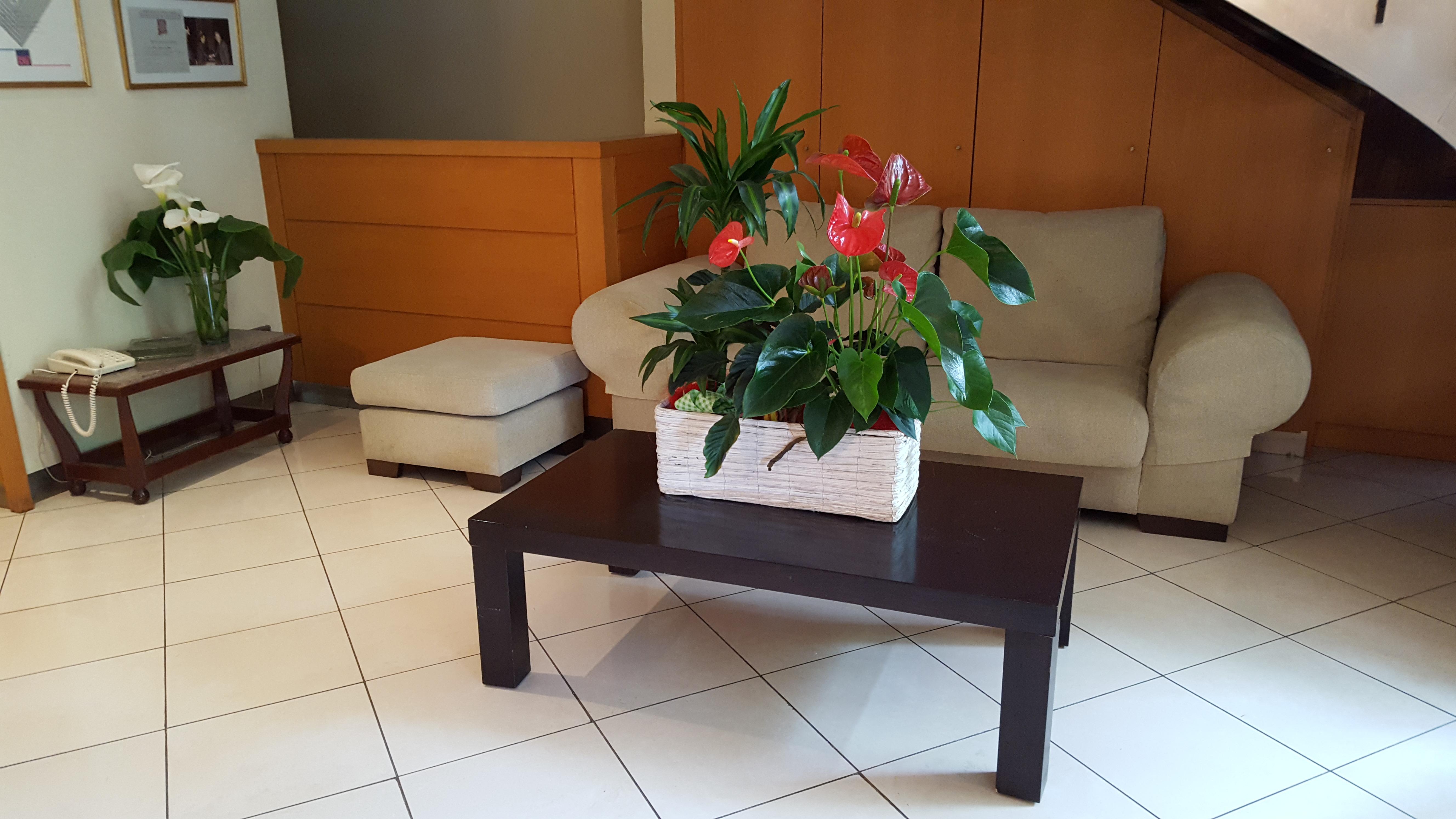 Hotel Segle XX Tremp Zewnętrze zdjęcie